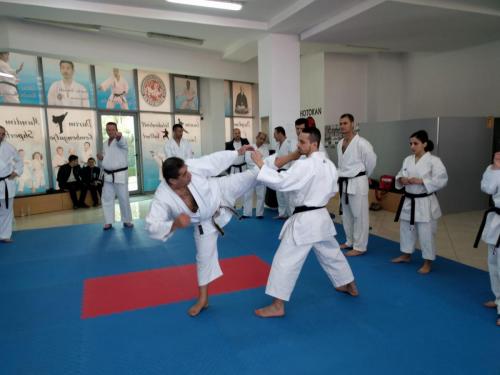 federata e karates aktivitete (10)