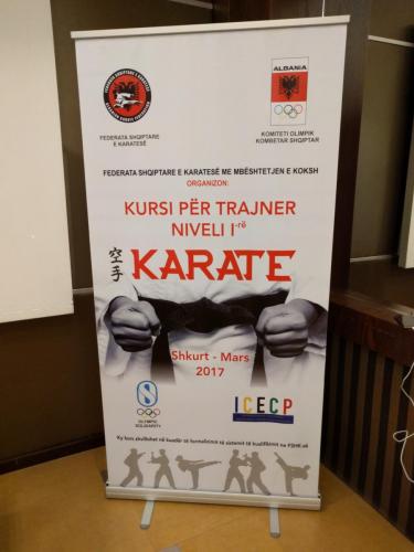 federata e karates aktivitete (5)
